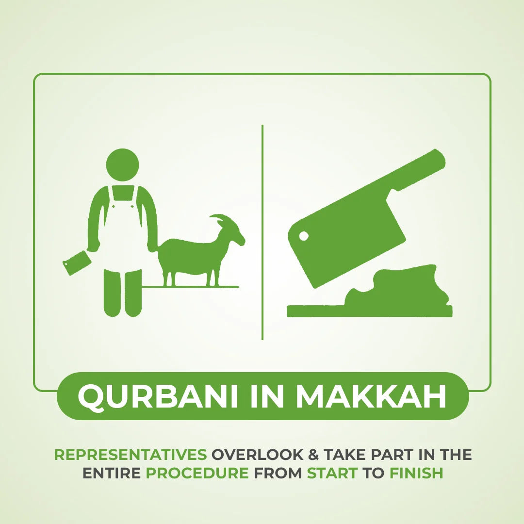 Qurbani In Makkah + Meat Distributed To Poor In Makkah