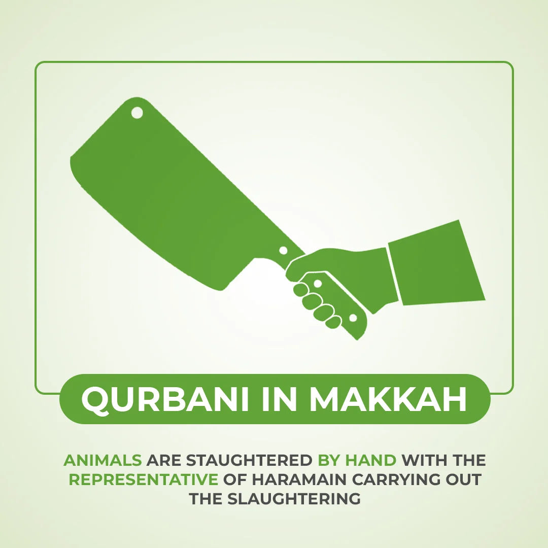 Qurbani In Makkah + Meat Distributed To Poor In Makkah